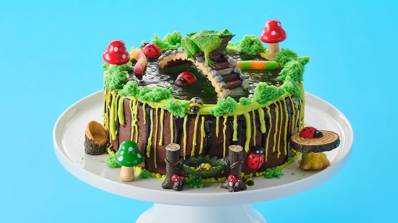 Aeroplane Jelly Swamp Cake